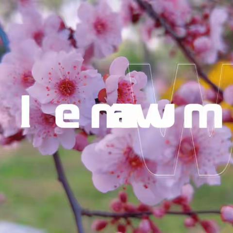 青雨寒春花落