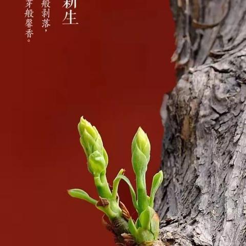 三月您好