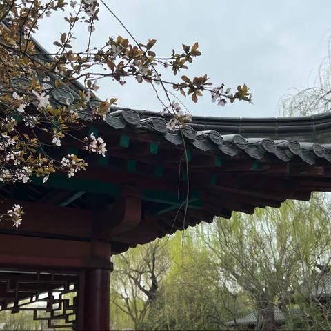 月程烟雨