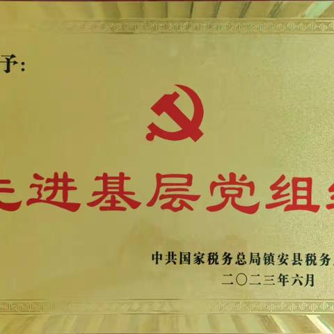 赞！镇安县税务局机关二支部荣获“先进基层党组织”荣誉称号