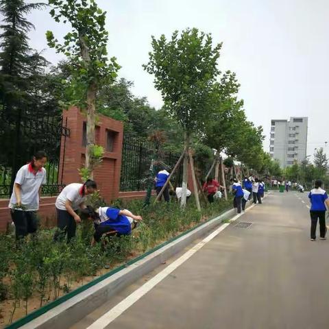 章丘四中高二级部组织‘’拔除杂草，美丽校园‘’活动