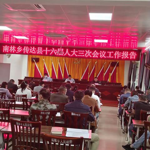 南林乡党委传达学习县“两会”精神