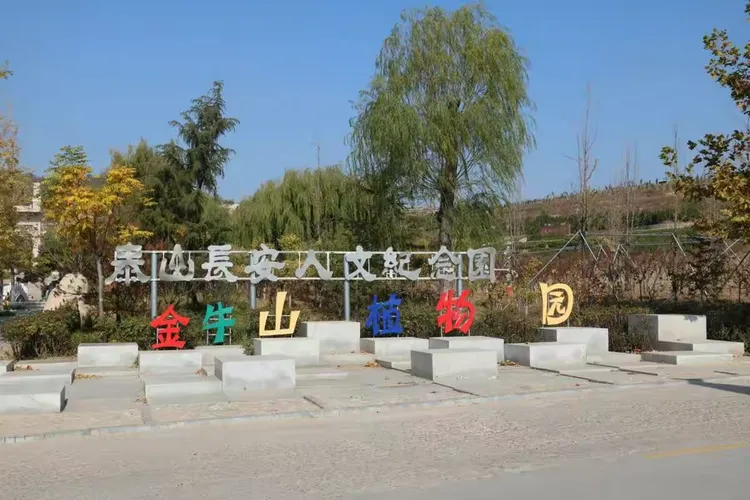 泰山长安园秋景