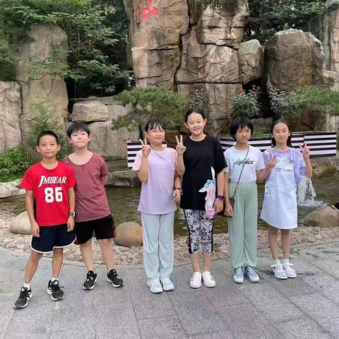 陆游：诗酒趁年华，归来仍少年