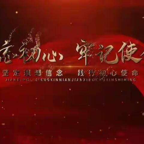 第九小学召开学习宣传党的二十大精神会议