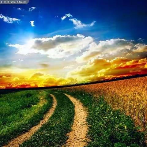 莒县第二协作区四年级语文第六单元集体备课