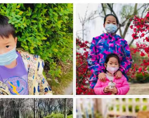 谷雨时节，润物无声——开慧御龙湾幼儿园“谷雨”主题活动