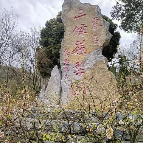 春景无限美，等你来看花……安徽东至三条岭花絮