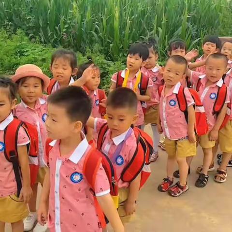 “亲近自然，快乐摘菜”——蒙乐幼儿园摘菜体验活动