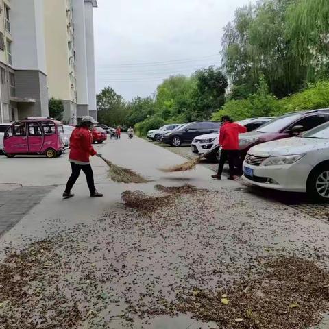 助力环境污染防治——城市清洁篇