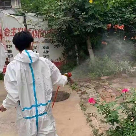 华龙区开展第二次夏季蚊蝇集中消杀活动