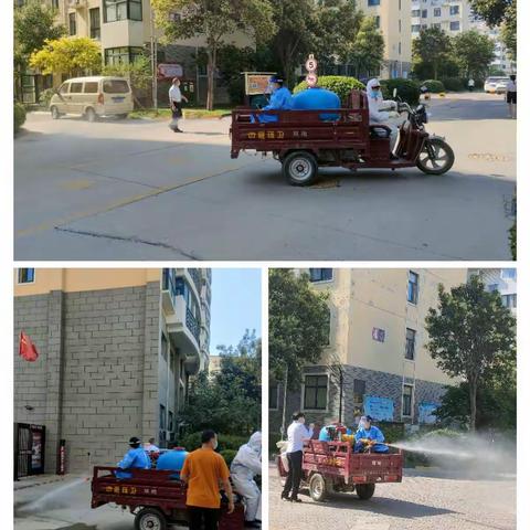 华龙区6月15日蚊蝇集中消杀日活动