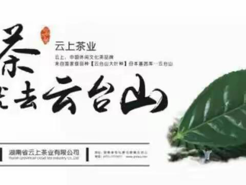 云台不言，茶自成蹊