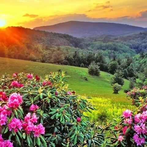 【有趣的昆虫】——大地诺德幼儿园中班级部