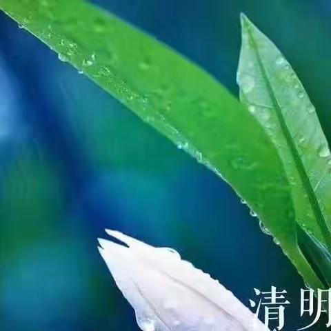 清明时节，怀念父亲