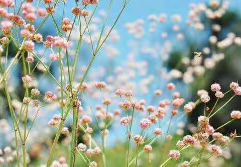 面朝大海，春暖花开