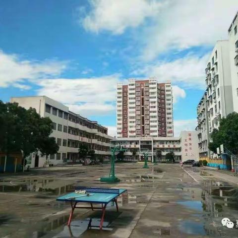 禹州市夏都中心学校教育集团中心校区 2022年秋季招生公告及网上报名流程