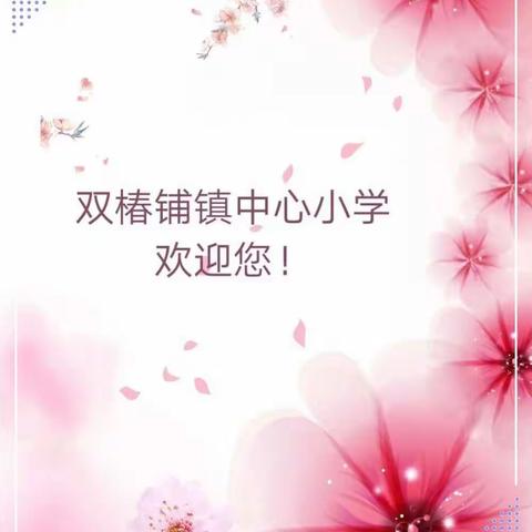 给孩子一个梦想——商城县双椿铺镇中心小学召开2019年春季家庭教育报告会