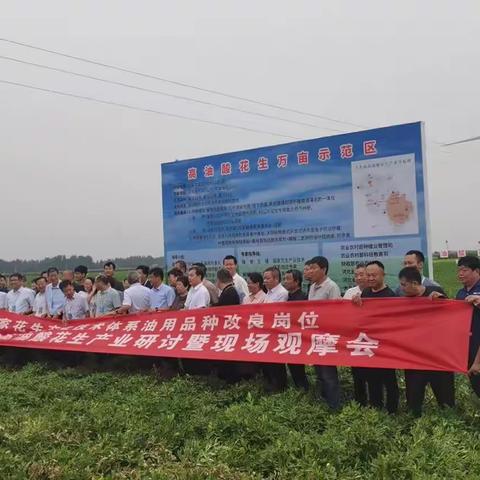“热烈庆祝河北省高油酸花生产业研讨会暨现场观摩会”在大名召开，预祝大会园满成功！”