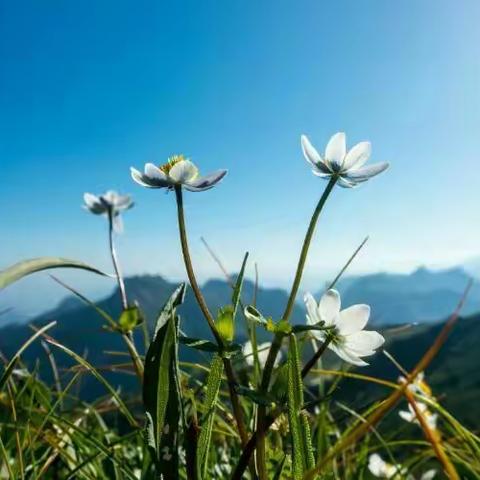 如果有一天……