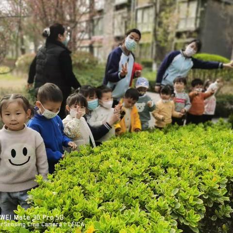 【未央学前🌴未央湖畔】春光为礼，花开为信——未央湖畔幼儿园二十四节气之-“春分”主题活动