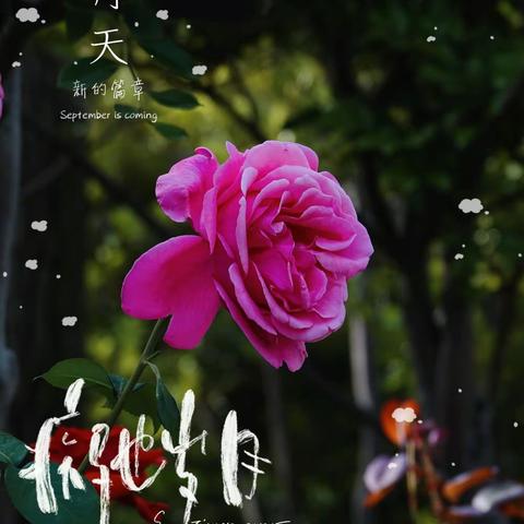 智平的美篇