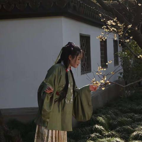 智平的美篇