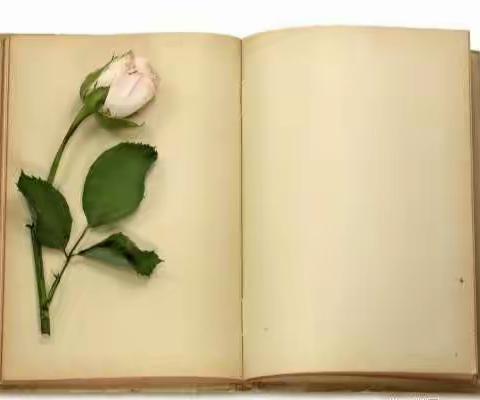 会阅读、勤思考、快提升——【民富】数学组共阅读齐交流活动