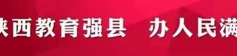 交通安全 从我做起 ——王庄镇中心学校“交通安全”主题班会