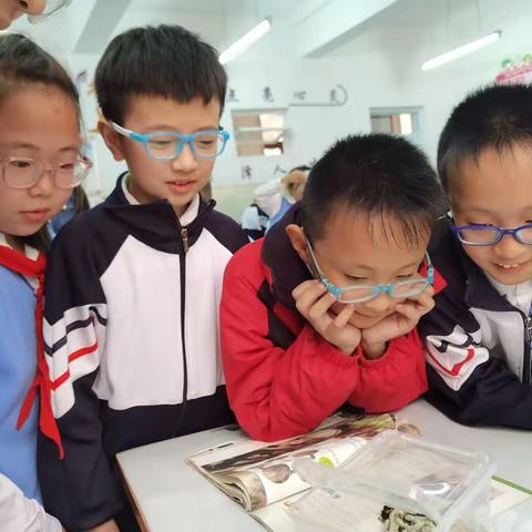 见证生命蜕变，培养科学素养    ——实验二小养蚕科学实践活动