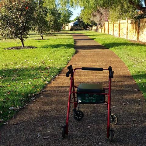 夏日里，晨曦洒落在碎石铺就的小路上