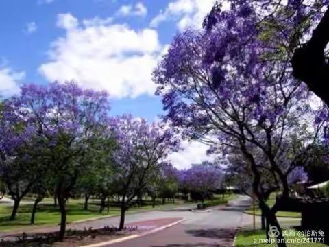 走在村中的路上