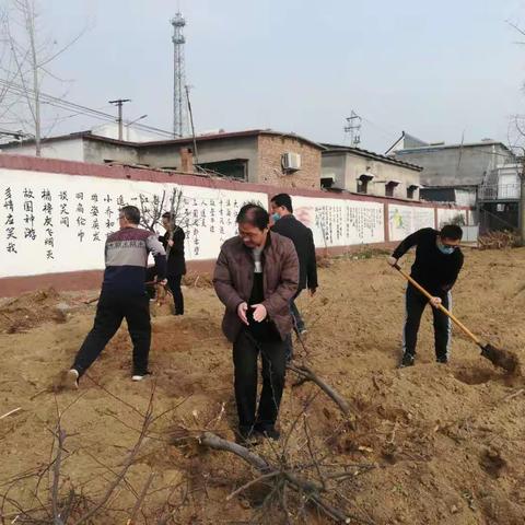 “点亮植树节   抗疫在行动”