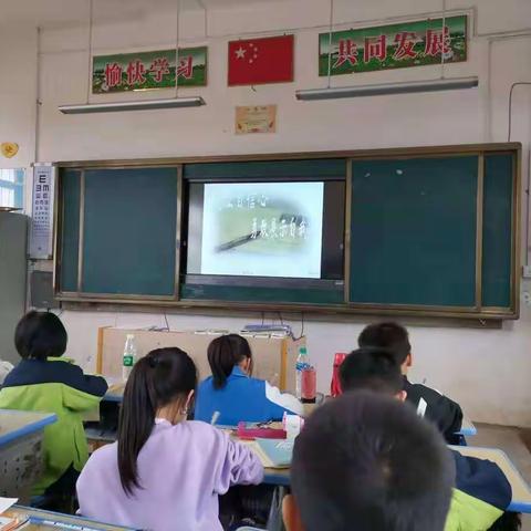 “青春之少灵，青春之少年”小学生心理健康教育主题班会