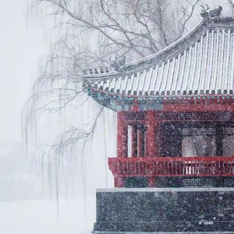 虎年初雪，故宫绝美雪景上新了！