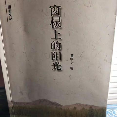 那缕阳光温暖了我