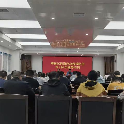 西安市碑林区街道应急救援队伍能力建设培训圆满结束