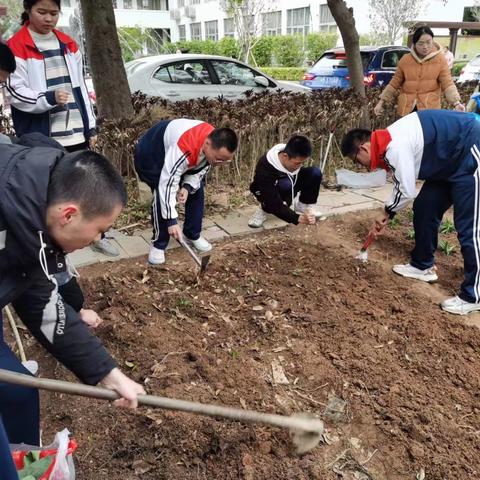 不误农时不负春     菜园种植育苗忙