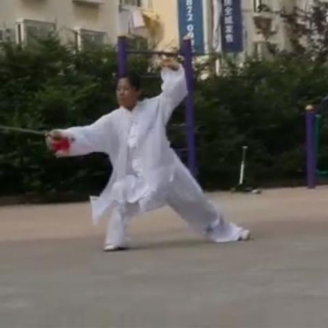 张燕女士57式陈式太极剑剑谱