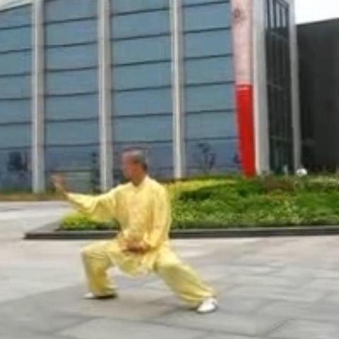 刘宝玉师父陈氏太极拳56式竞赛套路拳谱