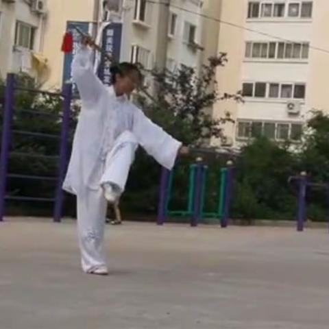 张燕女士57式陈式太极剑剑谱