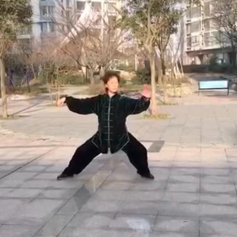 刘健女士56式陈式太极拳展演