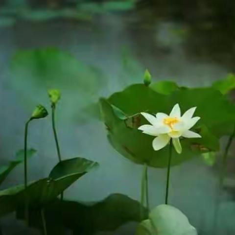 我的美篇