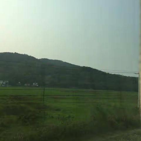 温情四月，春意盎然