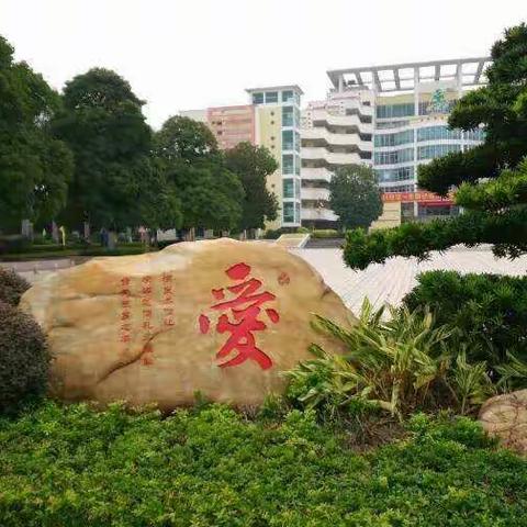 2017～2018学年度叶丽芳个人年终总结