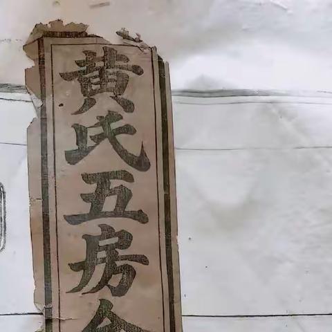 赣南地区千公房部分谱页辑录