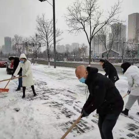 平城区档案馆干部职工以雪为令、雪中清雪