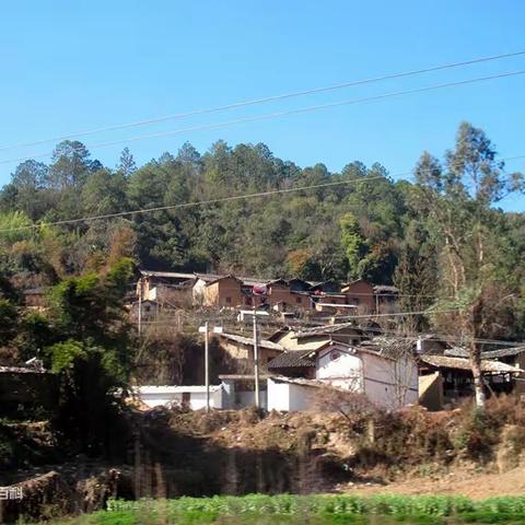 追阳人的回忆—— 劫后余生