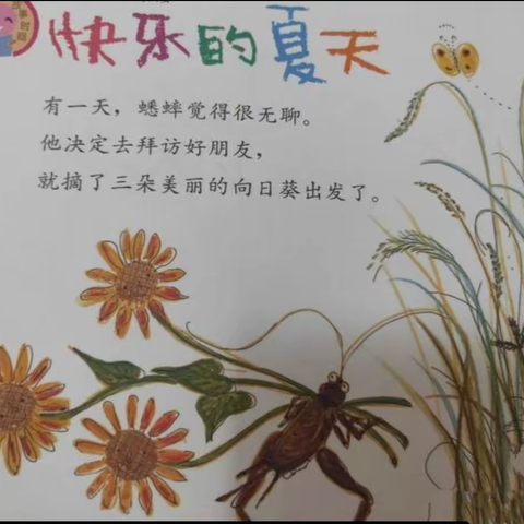 山西师范大学幼儿园                                   中一班课程故事《顽皮一夏》