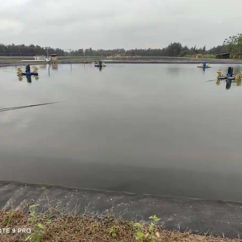 为优化营商环境，儋州深化“查破促”， 解决光村省级储备地征拆难题